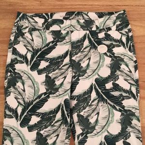 Mid-Rise Pixie Ankle Green Tropical Floral Leaf